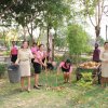 18 มีนาคม วันท้องถิ่นไทย